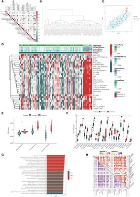 Frontiers Identification Of A Novel Immune Related Gene Signature For